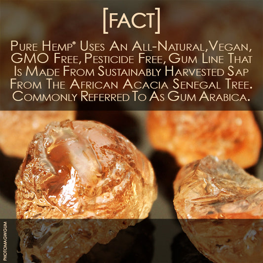 African Acacia Tree Sap Gum Arabica Pure Hemp Rolling Papers Vegan All-Natural